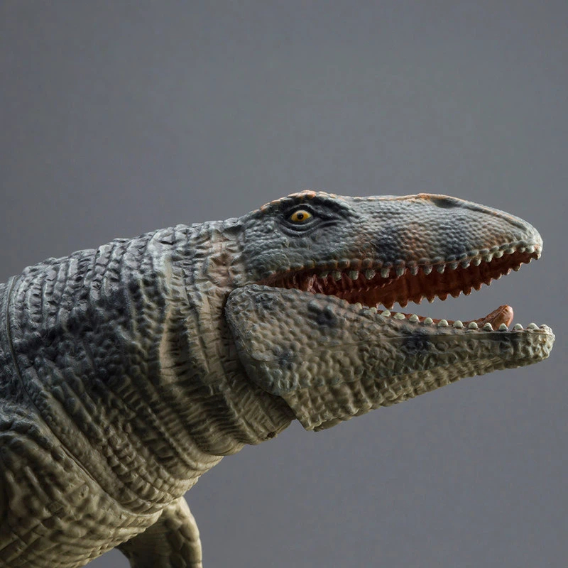 Science Toy - PROG Grande Figurine de Mosasaurus Prognathodon