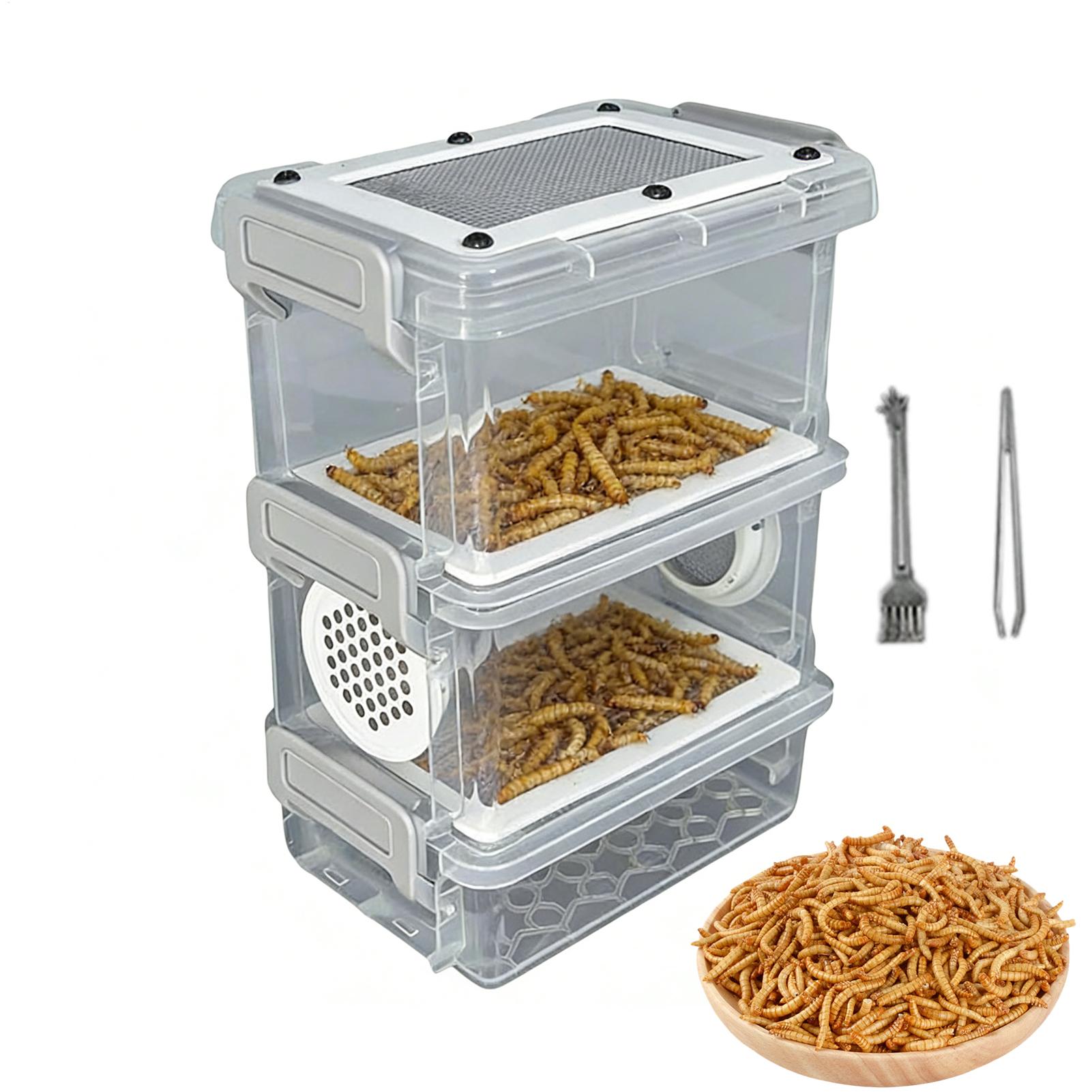 Kit d'élevage de vers de farin - Science Hobbyist avis et prix