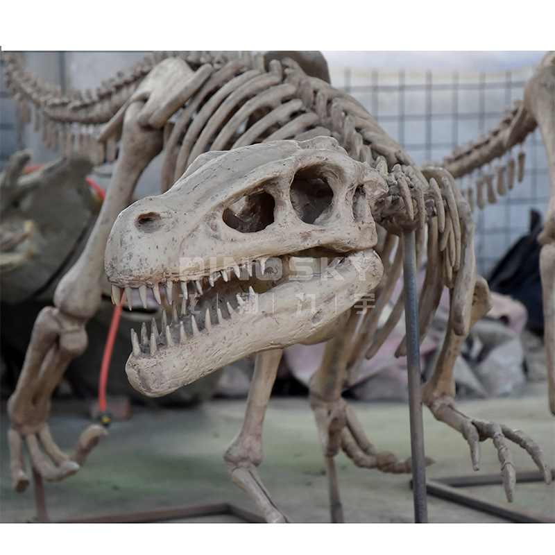 Modèle de dinosaure squelette  - Science Exhibition Models avis et prix