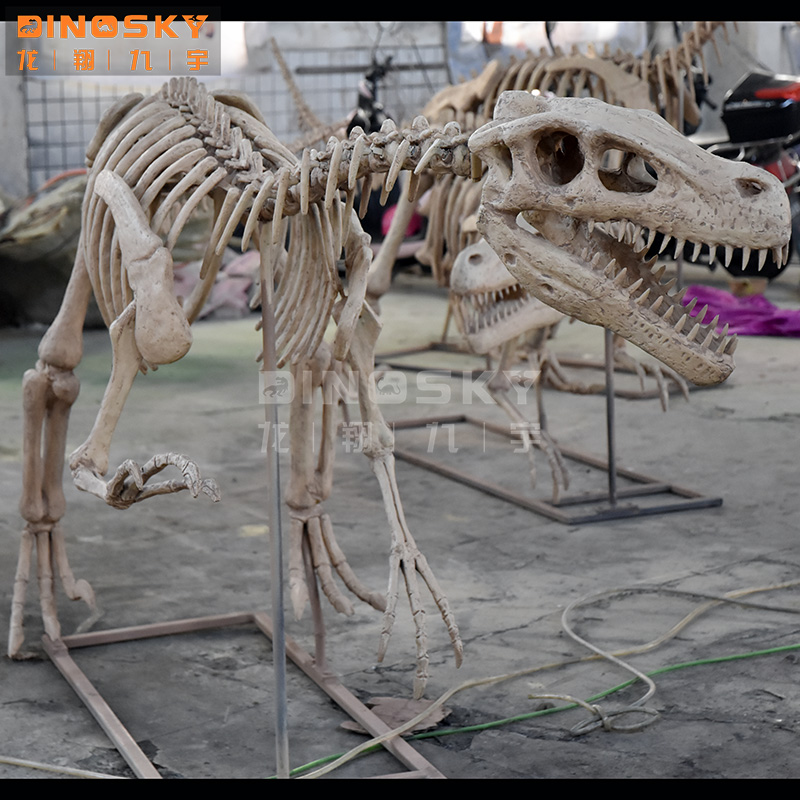 Modèle de dinosaure squelette  - Science Exhibition Models avis et prix
