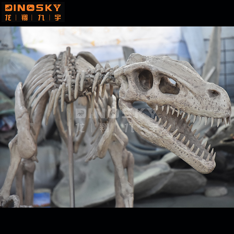 Modèle de dinosaure squelette  - Science Exhibition Models avis et prix